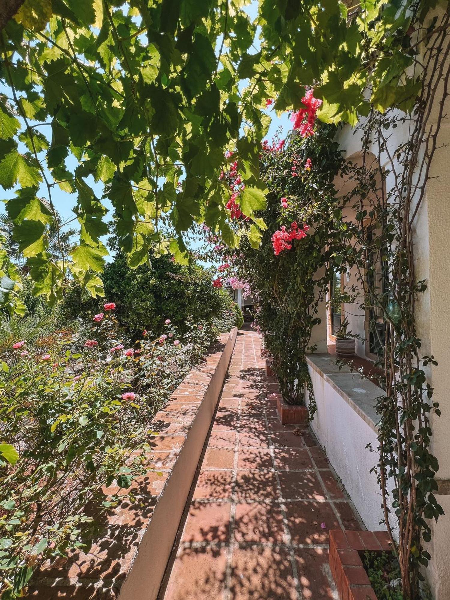 Quinta De Sao Pedro De Tomar Villa Екстериор снимка